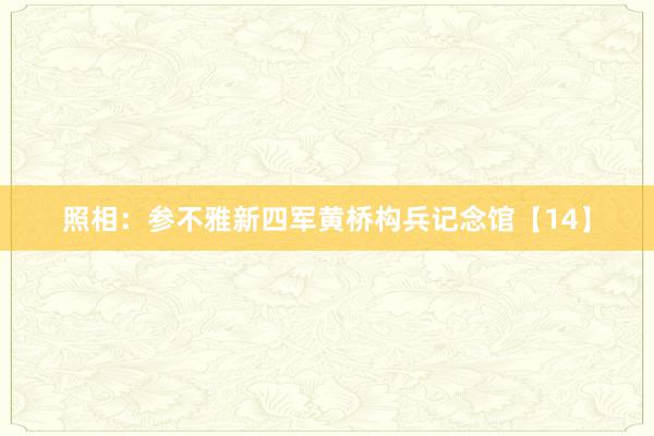 照相:参不雅新四军黄桥构兵记念馆【14】